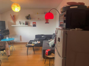 Appartement au centre ville de Toulouse